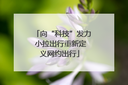 向“科技”发力 小拉出行重新定义网约出行