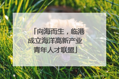 向海而生，临港成立海洋高新产业青年人才联盟