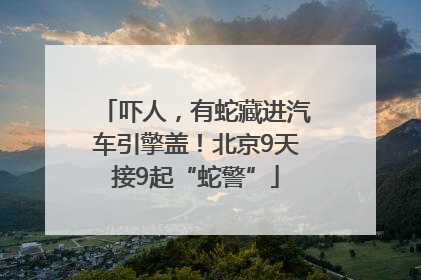 吓人，有蛇藏进汽车引擎盖！北京9天接9起“蛇警”