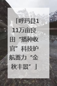 呼玛县111万亩良田“播种收官”科技护航蓄力“金秋丰景”