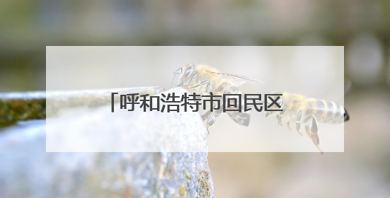 呼和浩特市回民区：以绿为底 谱写生态文明建设新篇章