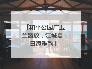 和平公园广玉兰盛放，江城夏日添雅韵