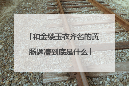 和金缕玉衣齐名的黄肠题凑到底是什么