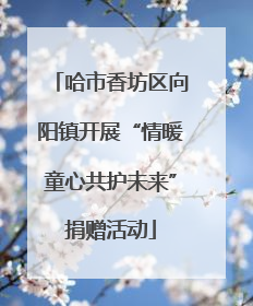 哈市香坊区向阳镇开展“情暖童心共护未来”捐赠活动