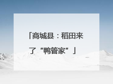 商城县：稻田来了“鸭管家”