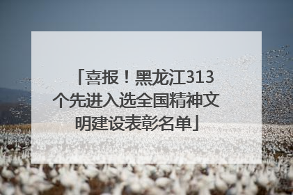喜报！黑龙江313个先进入选全国精神文明建设表彰名单