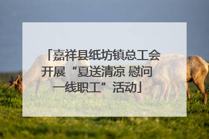 嘉祥县纸坊镇总工会开展“夏送清凉 慰问一线职工”活动