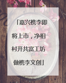 嘉兴槜李即将上市，净相村开共富工坊做槜李文创