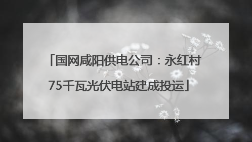 国网咸阳供电公司：永红村75千瓦光伏电站建成投运