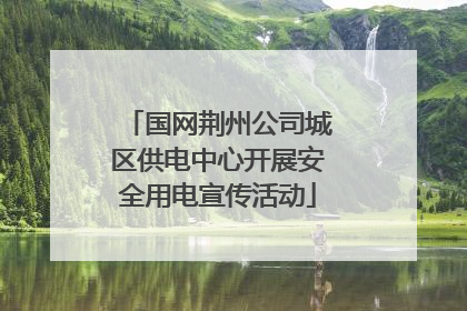 国网荆州公司城区供电中心开展安全用电宣传活动