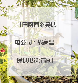 国网西乡县供电公司：战高温保供电送清凉