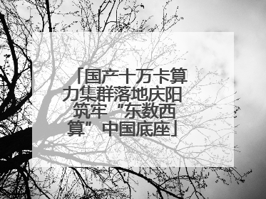 国产十万卡算力集群落地庆阳 筑牢“东数西算”中国底座