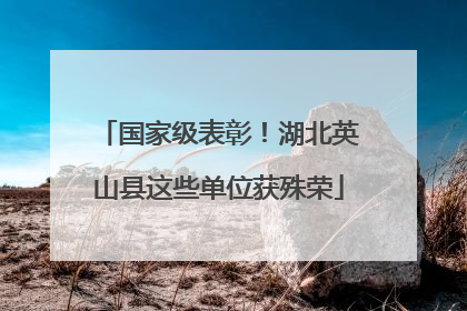 国家级表彰！湖北英山县这些单位获殊荣