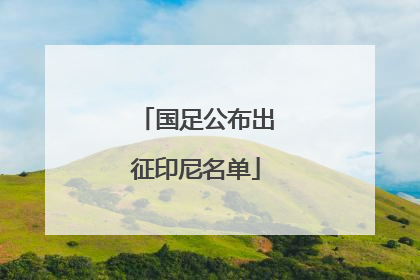 国足公布出征印尼名单