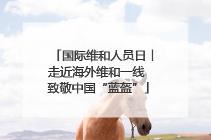 国际维和人员日丨走近海外维和一线 致敬中国“蓝盔”