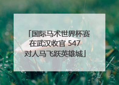 国际马术世界杯赛在武汉收官 547对人马飞跃英雄城