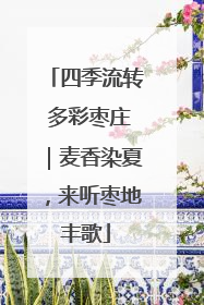 四季流转 多彩枣庄｜麦香染夏，来听枣地丰歌