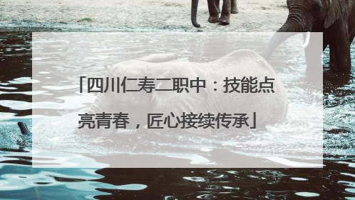 四川仁寿二职中：技能点亮青春，匠心接续传承
