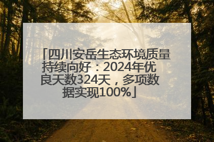四川安岳生态环境质量持续向好：2024年优良天数324天，多项数据实现100%