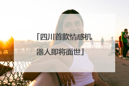 四川首款情感机器人即将面世