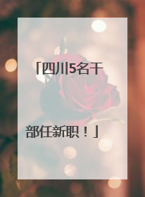四川5名干部任新职！