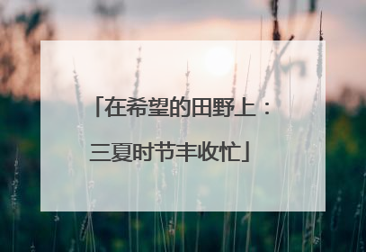 在希望的田野上：三夏时节丰收忙