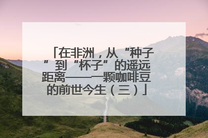 在非洲，从“种子”到“杯子”的遥远距离——一颗咖啡豆的前世今生（三）