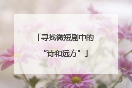 寻找微短剧中的“诗和远方”