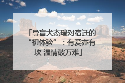 导盲犬杰瑞对宿迁的“初体验”：有爱亦有坎 温情破万难