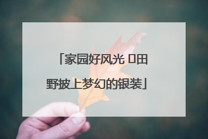 家园好风光 ⎮田野披上梦幻的银装
