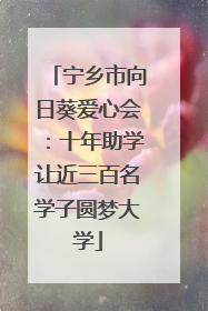 宁乡市向日葵爱心会：十年助学让近三百名学子圆梦大学