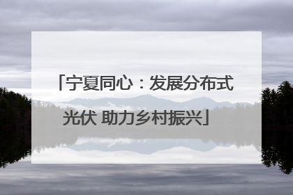 宁夏同心：发展分布式光伏 助力乡村振兴