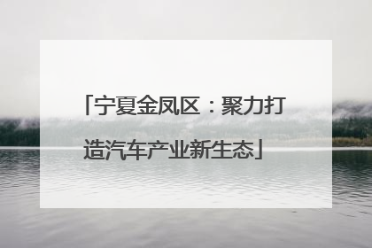 宁夏金凤区：聚力打造汽车产业新生态