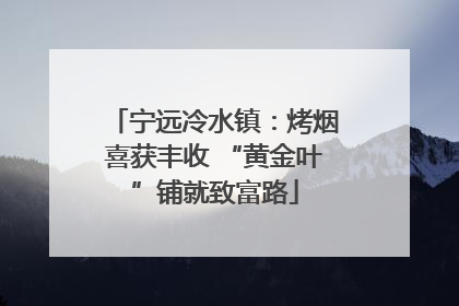 宁远冷水镇：烤烟喜获丰收 “黄金叶”铺就致富路