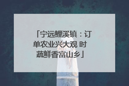 宁远鲤溪镇：订单农业兴大观 时蔬鲜香富山乡
