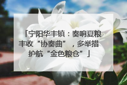 宁阳华丰镇：奏响夏粮丰收“协奏曲”，多举措护航“金色粮仓”