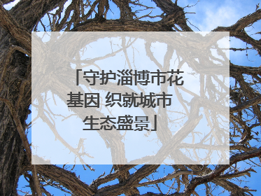 守护淄博市花基因 织就城市生态盛景