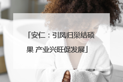 安仁：引凤归巢结硕果 产业兴旺促发展