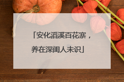 安化滔溪百花寨，养在深闺人未识