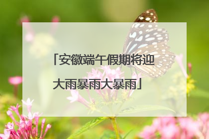 安徽端午假期将迎大雨暴雨大暴雨