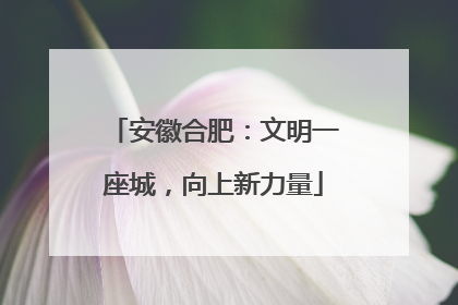 安徽合肥：文明一座城，向上新力量