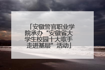 安徽警官职业学院承办“安徽省大学生校园十大歌手走进基层”活动