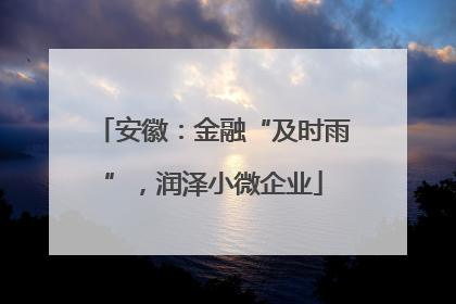 安徽：金融“及时雨”，润泽小微企业