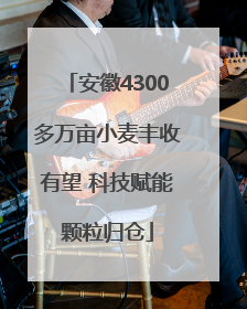 安徽4300多万亩小麦丰收有望 科技赋能颗粒归仓