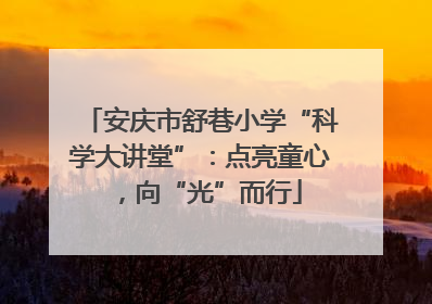 安庆市舒巷小学“科学大讲堂”：点亮童心，向“光”而行
