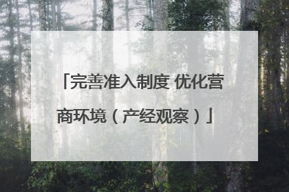 完善准入制度 优化营商环境（产经观察）