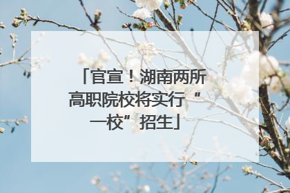 官宣！湖南两所高职院校将实行“一校”招生