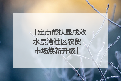 定点帮扶显成效 水景湾社区农贸市场焕新升级