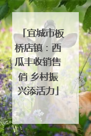 宜城市板桥店镇：西瓜丰收销售俏 乡村振兴添活力