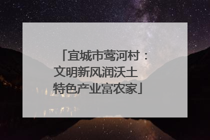 宜城市莺河村：文明新风润沃土 特色产业富农家